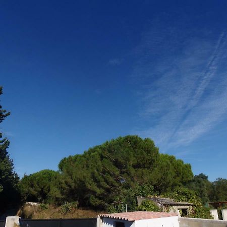 Joli Mazet Entre Montpellier Et Nimes Apartment Aimargues Ngoại thất bức ảnh