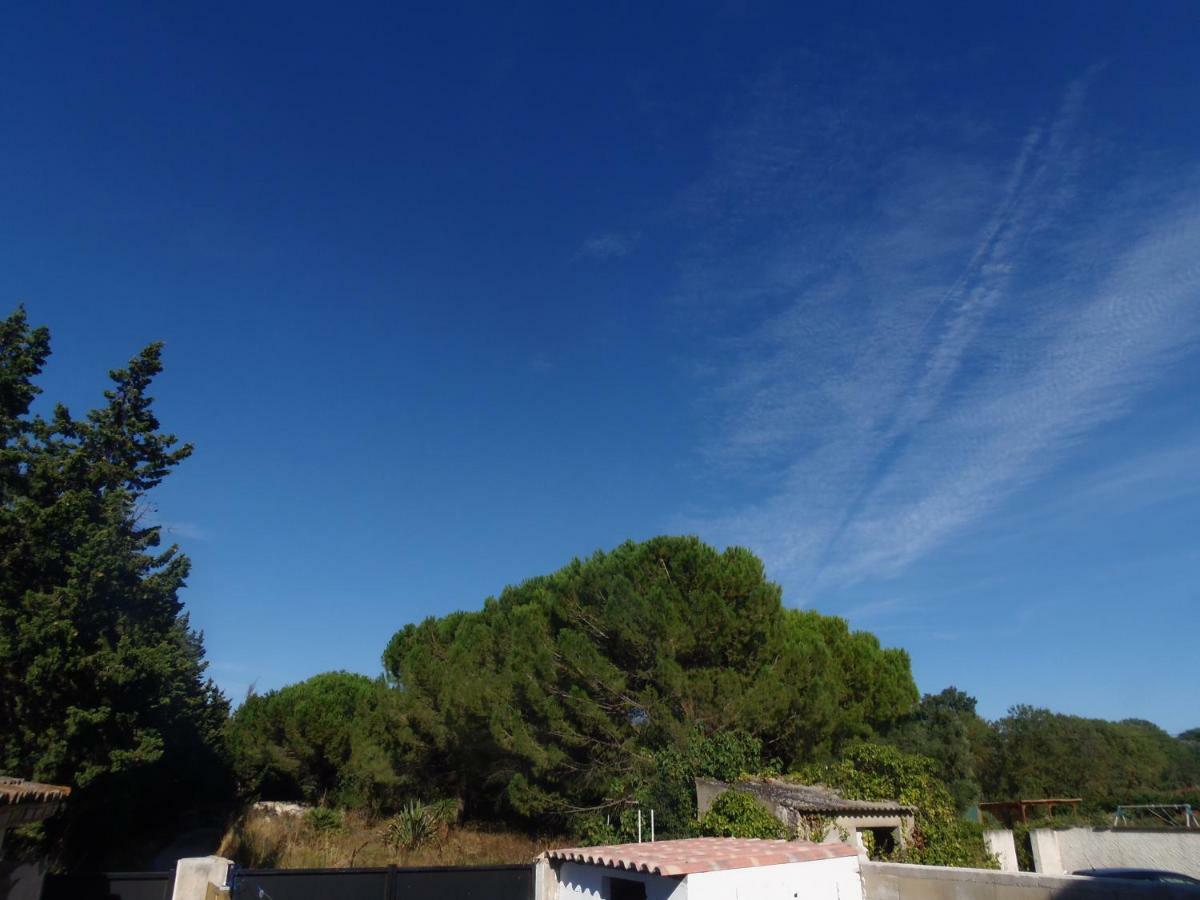 Joli Mazet Entre Montpellier Et Nimes Apartment Aimargues Ngoại thất bức ảnh